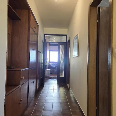 Jelena - Four - A Small House With A Private Yard - Two-room With A Sea View - - Two-room With Garden View- Free Parking * Supetar